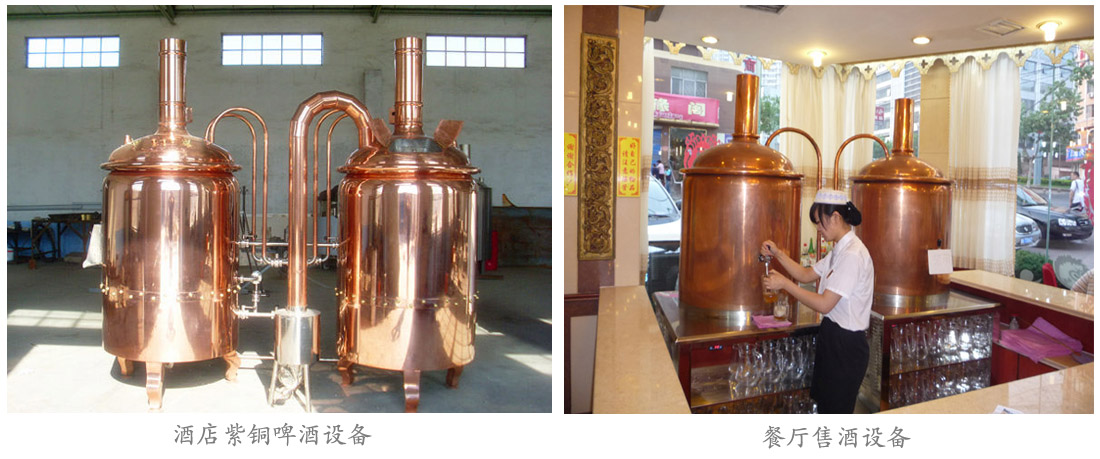 紫(zǐ)銅啤酒設備 紫銅啤酒設備